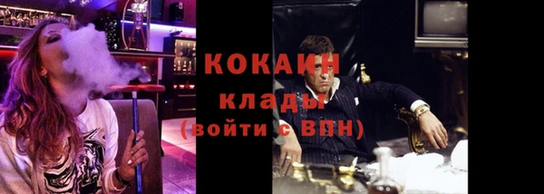 крисы Балахна