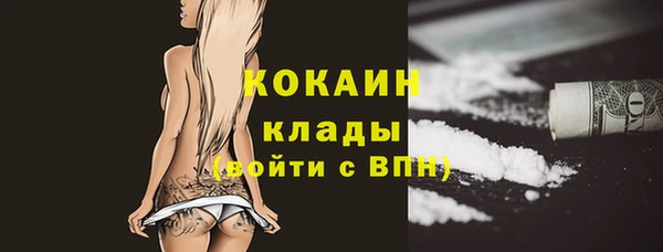 крисы Балахна