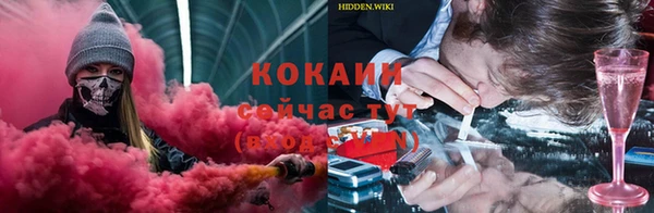 крисы Балахна